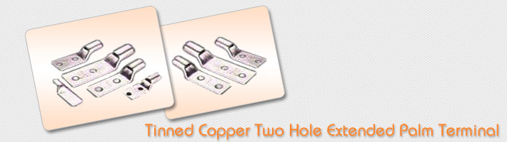 Tinned Copper Two Hole Extended Palm Terminal