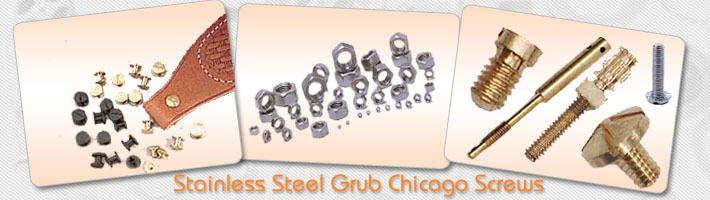  Stainless Steel Grub Chicago Screws