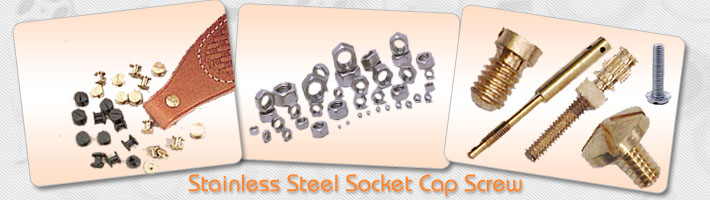 Stainless Steel Socket Cap Screw