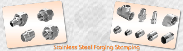 Stainless Steel Forging Stamping